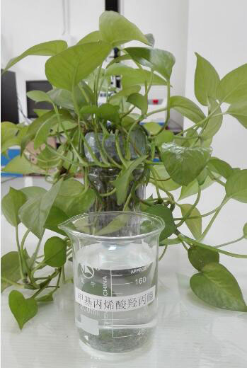 2-甲基-2-叼嘿大全免费下载-1